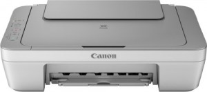 Canon Pixma MG2450 Stampante Multifunzione Inkjet, 4800x600 dpi, Argento